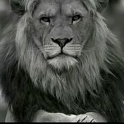 ahmed (@ahmed687616) Twitter profile photo