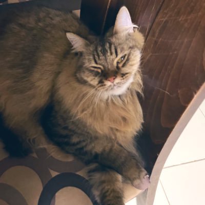 imanniemimi's profile picture. Minding My Own Asset