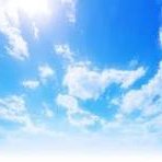 jack_br01's profile picture. 