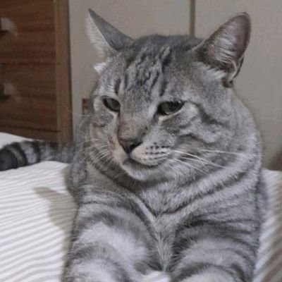 nevertgn's profile picture. 