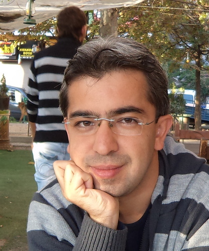 Mali müşavir, bağımsız denetçi