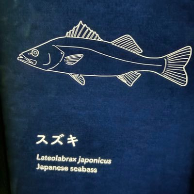 please_Wed's profile picture. 気づいたら高2になってた/気まぐれなカジキ/青鬼2RTA 次は17分台本気で取りに行く/紙ポケカに憧れてPTCGL始めました ポケポケもやってます/剣道やって属性強化中/Xはマジで初心者です/マイクラの進捗めっちゃ覚えてます/mulaのものおきばN推し