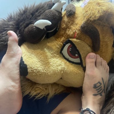 Murrsuit & Hairy Tanuki Nudes 🔞 | 33yo Demi Pansexual chubby furry | Bottom 🍑 | Musk, Paws, Femboys, Moobs & Armpits | Taken by my handsome Oreo Lion🤍🤎