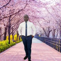 Marve (@drealmarve) 's Twitter Profile