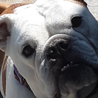 YashaKitten08's profile picture. 