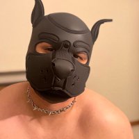 pup nico(@thesubbypuppy) 's Twitter Profileg