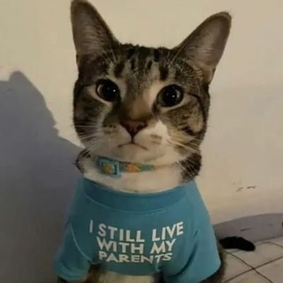 tbge24's profile picture. 22