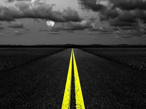 Follow us, we follow back!
You are broad minded and socially active.