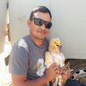 Krishna41959902's profile picture. चरा प्रेमी, IUCN Vulture Specialist Group, #VultureExpert #Ornithology #RaptorBiologist #ParticipatoryConservation #Writer #ScienceCommunication #NatureLover