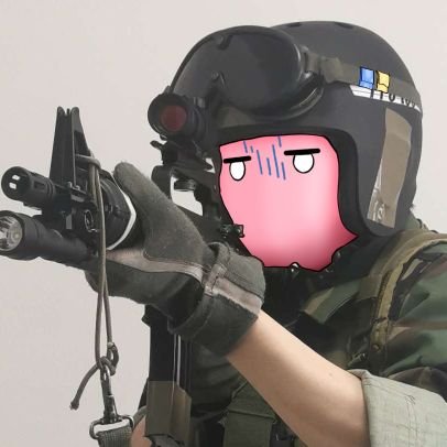 anime, milsurp gear, model kits, rhythm games, anything | pfp edit by @A_Rice_Farmer