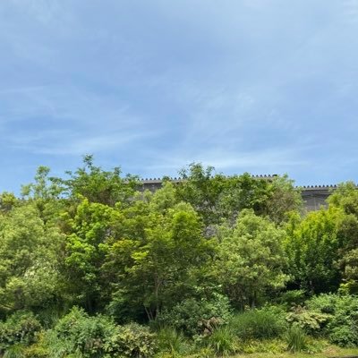 __motoki12's profile picture. 