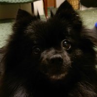 Key Largo 🇺🇸 🇮🇱 (@largo_key75806) 's Twitter Profile