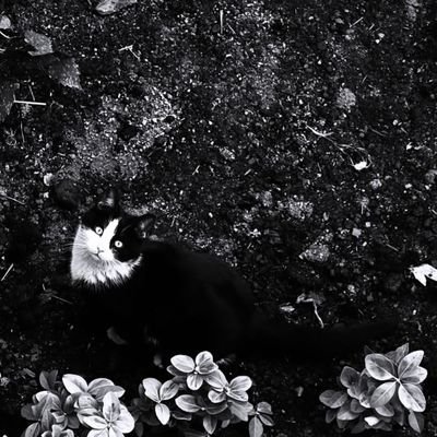 powergoddess93's profile picture. 