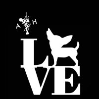 Matcha_335🐾.* (@assher_335) 's Twitter Profile Photo Matcha_335🐾.* (@assher_335) 's Twitter Profile Photo