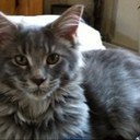 Chrissy Graham - @Molliemistress - Twitter