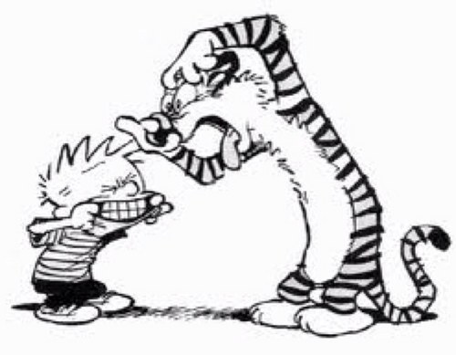 pcraik1's profile picture. living the dream!