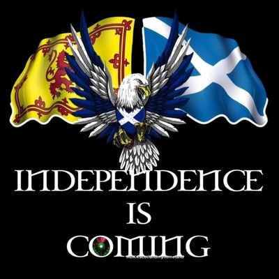 Just a proud Scottish mother and granny hoping for the best for her family in an independent Scotland