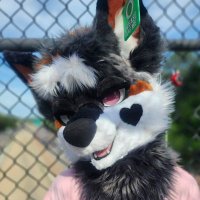 ✨Filthy 💞🔜TFF (@pawkisser) 's Twitter Profile