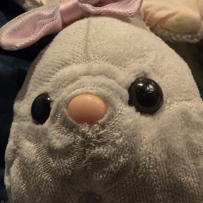 dongdooo's profile picture. Web3 Rabbit