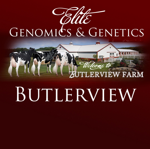 Butlerview's profile picture. 