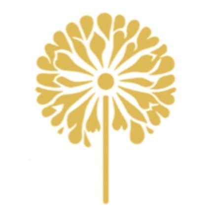 DandelionTS_'s profile picture. Offering Speech and Language assessments and therapy, Occupational Therapy, PACT, Autism Support Therapy and much more