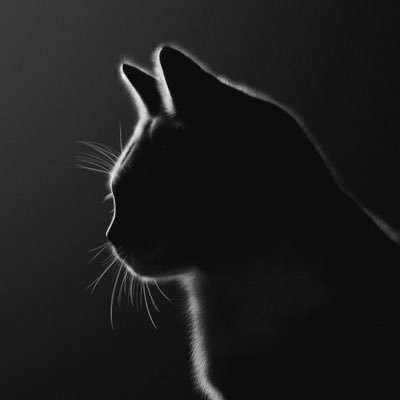 anisantiara's profile picture. im socially awkward

half sanguinis and half melankolis