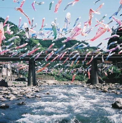 okikabu's profile picture. 💰を育てる人