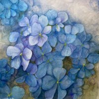 Sonia Scott Job (@onthemildside_) 's Twitter Profile