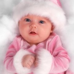 jaya_2831's profile picture. 