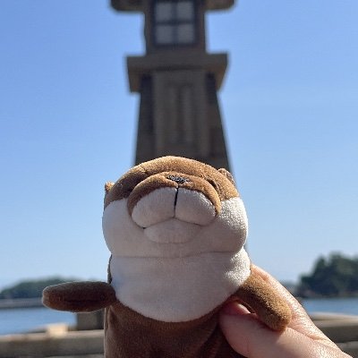 Mill_primavera's profile picture. 