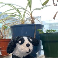 . (@idiskey) 's Twitter Profile