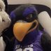 Midnight the Raven (@costumeddragon) Twitter profile photo