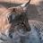 GEO8123's profile image