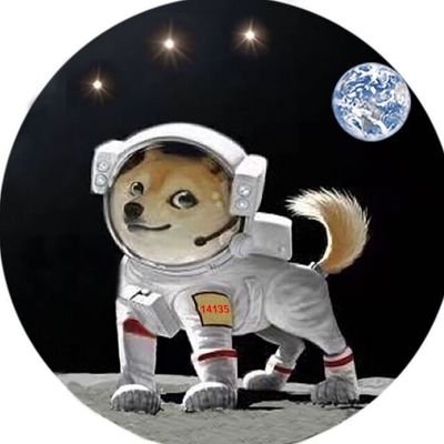 Mimaki949314's profile picture. DOGE爱好者 | DOGZ太空狗粉丝