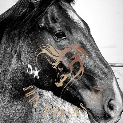 Guacamole aficionado , cat lover ,moon gazer, writer, Southerner 🌙
OH, and helping horses .. and dogs... and cats...♡🐾🐾
☆Mustangs and Misfits R Us☆