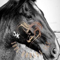 𝕽𝖆𝖓𝖉𝖎 𝕮𝖔𝖑𝖑𝖎𝖊𝖗 (@soulhorses) 's Twitter Profile Photo