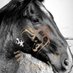๐ฝ๐๐๐๐ ๐ฎ๐๐๐๐๐๐ (@soulhorses) Twitter profile photo ๐ฝ๐๐๐๐ ๐ฎ๐๐๐๐๐๐ (@soulhorses) Twitter profile photo