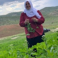 Asya Akın (@akn850939) Twitter profile photo