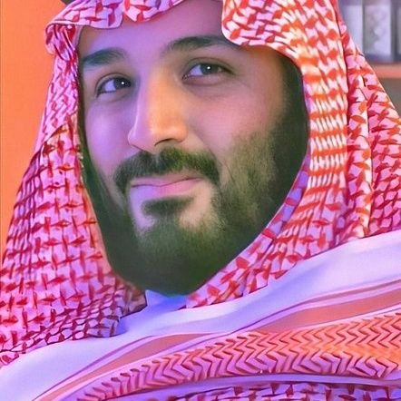 محمد سالم باوزير Profile