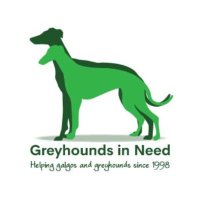 Greyhounds in Need CIO(@galgos_GIN) 's Twitter Profile Photo