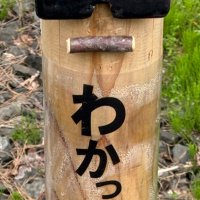 尾崎先入観 (@tatata___5) 's Twitter Profile