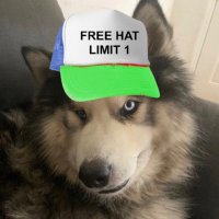 JoJ00 (33.3%) 🏴 (@jojooocrypto) 's Twitter Profile