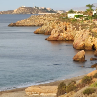 Carmenheras1960's profile picture. 