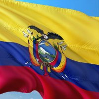 Puño A La Oligarquía (@paloecuador) 's Twitter Profile Photo Puño A La Oligarquía (@paloecuador) 's Twitter Profile Photo