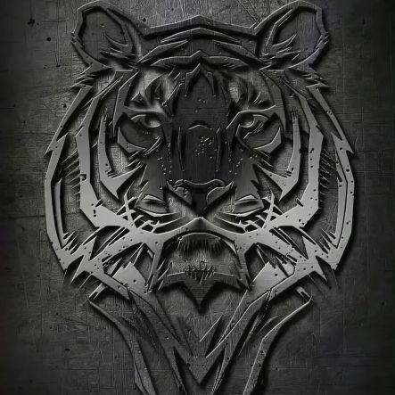 hungyunkun's profile picture. 