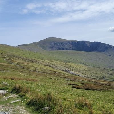 mudshootgames's profile picture. 