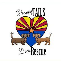 Happy Tails Doxie Rescue(@HTDoxieRescue) 's Twitter Profileg