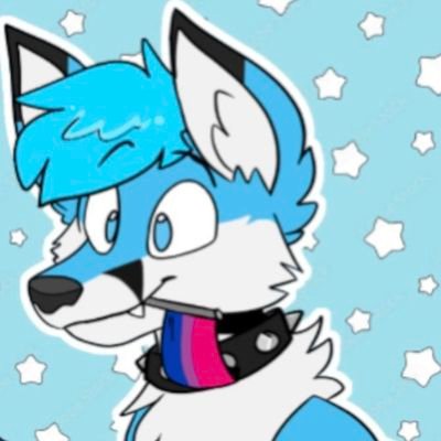melliewolfz's profile picture. MOON coyote ♂️ | 18 | UK 🇬🇧 fur | 
she/he | bisexual | I like girly clothes💕 | 
i 🩷 🍕 | I like drawing 💕