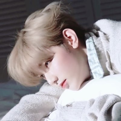 ᱸ 𓈒 𓎭zerobaseone 🐰 zhanghao sunghanbin 𓈒♡‧ andteam 🐈 nicolas jo ₊˚ 𓈒 🐰 𓈒 ᱸ