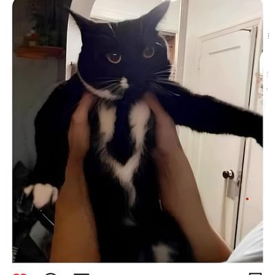 WrongB5's profile picture. gg